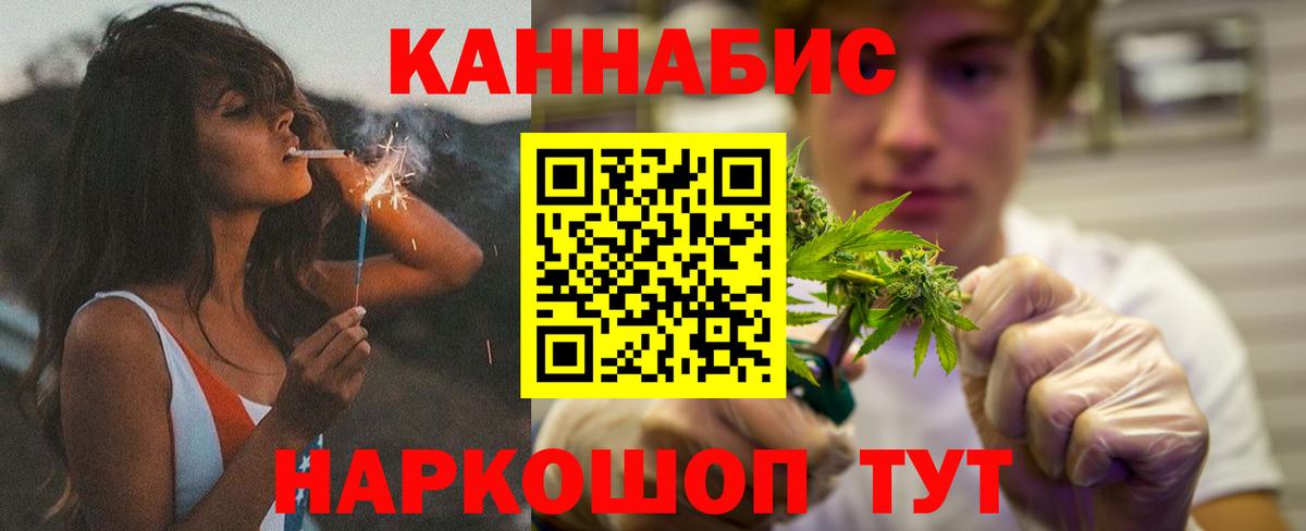Бошки марихуана план  Вход с VPN  Сухой Лог  Конопля конопля 